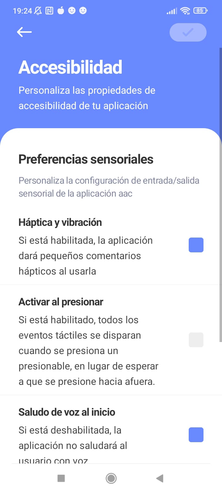 Pantalla configuració accessibilitat